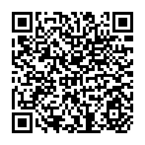 QR Code for 1991 Food AID Review