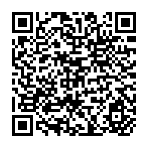 QR Code for Agricultural Price Policy: A Practitioner's Guide to Partial Equilibrium Analysis