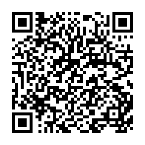 QR Code for Progress and Disillusion