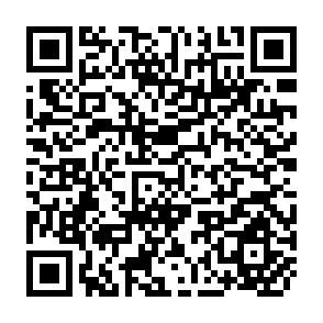 QR Code for A Forest Inventory of the Panama Proposed Reserve, Ceylon
