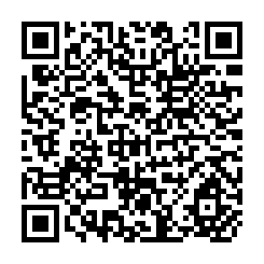 QR Code for Strawberry Imperialisn- An Inquiry into the Mechanisms of Dependancy in Mexican Agriculture