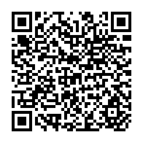 QR Code for Development Policy II - The Pakistan Experience
