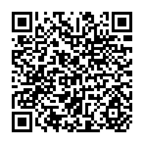 QR Code for Development Policy II - The Pakistan Experience