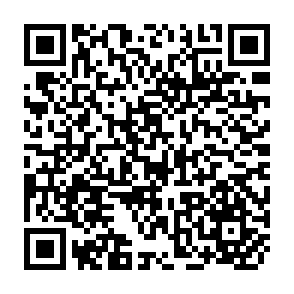 QR Code for Voluntary agencies and development in rural India a bibliography