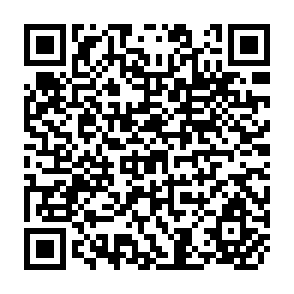 QR Code for Expert Counsultation on Concepts and Methodology For Generating Data On Institutional Credit to Small Farmer Households