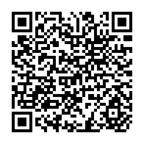 QR Code for FAO The Frist 40 Years