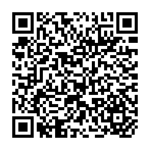 QR Code for European Association of Development Research and Training Institutes (EADI)- Working Group on information and documentation