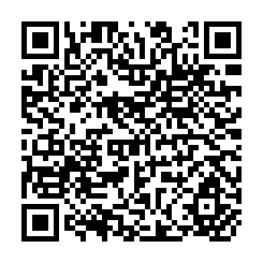 QR Code for Nothing to Lose But Our Lives