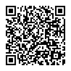 QR Code for The Vanishing Forest