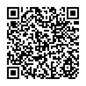 QR Code for The Gulf Wars