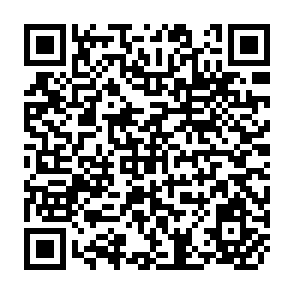 QR Code for Essays in Planning and Growth