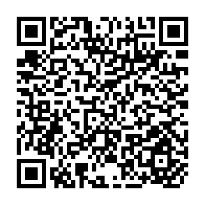 QR Code for Attacking Undernutrition and Poverty: Some Issues of Adaptation and Sustainability