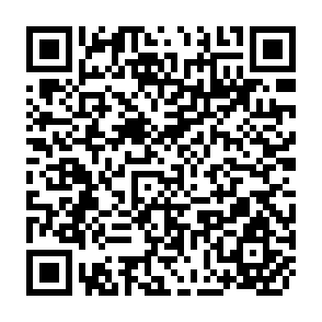 QR Code for NGOs and Tree-Growing Programs: Working Between Farmers and Governments