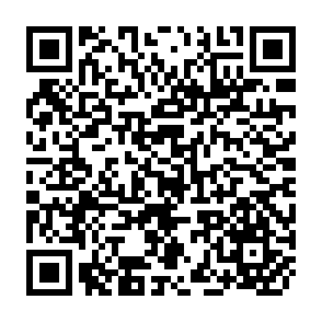 QR Code for East-west regional differentials in the role of males in the determination of f family size in turkey