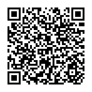QR Code for Absorbing External Shackos the Gulf Crisis, International Migration Linkaged and the Indian Econoy( with special reference to the impact of Kerala)