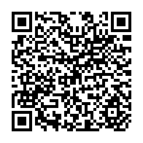 QR Code for Equity, Equality and  Appropriate Distribution- Multiple Interpretations and Zimbabwean Usages