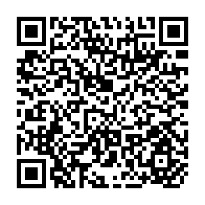 QR Code for Investment Patterns and Economic Growth in Jamaica: 1981-1988