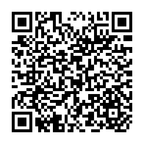 QR Code for Working Papers - Sub-Series On Women, History And Development: Themes And Issues - No.14