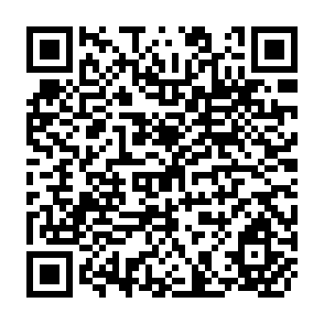 QR Code for Mechanisms And Practices Of Agricultural Price Policy In Asia And The Pacific