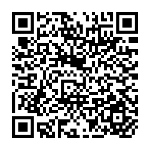 QR Code for Enhancing Grain Legumes Research in Asia