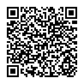 QR Code for After the Earth Summit