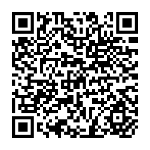 QR Code for International Agricultural Research Issues and Pririties From a Dutch Perspective