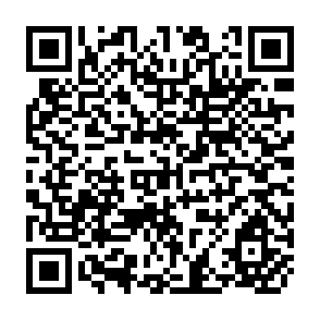 QR Code for Sustainable Development and The Environment