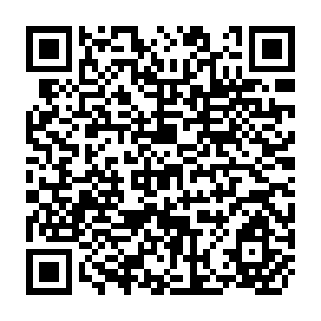 QR Code for Lore