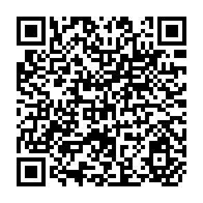 QR Code for Selected Bibliography on Saarc