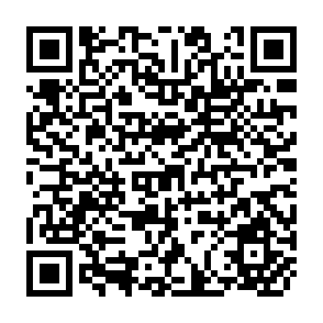 QR Code for Design- Managemnt Interactions of Malaysis's Kerian Irrigation Scheme