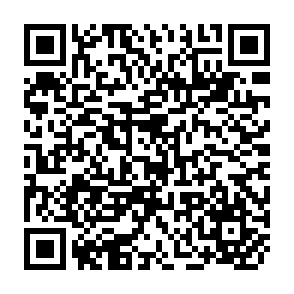 QR Code for Worldwatch Paper 112
