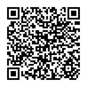 QR Code for Institutional Factors Affecting Irrigation Performance in Pakistan: Research and Policy Priorities