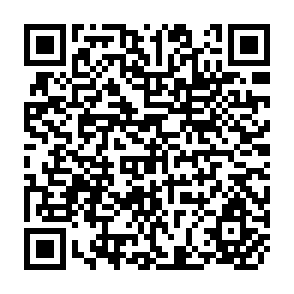 QR Code for The Creation of World Poverty