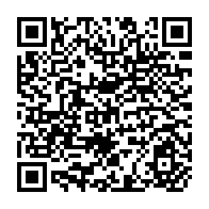 QR Code for Making Peace with the Planet