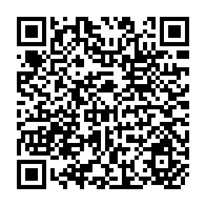QR Code for The Crisis of External Dependence