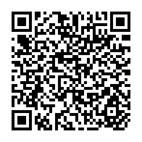 QR Code for China National Afforestation Project: Technology Improvements