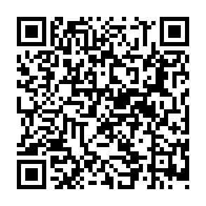 QR Code for The State Of The World's Children 1993