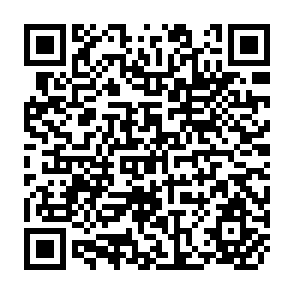 QR Code for Irrigation Management for Diversifyed Cropping in Rice Based Systems in the Philippine
