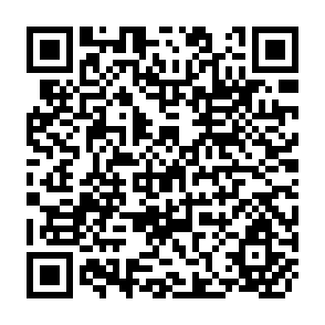 QR Code for The Making of Economic Society