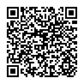 QR Code for The Economic Performance of Denationlised Industries in Bangladesh
