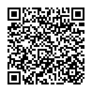 QR Code for Pastures and Cattle under Coconuts
