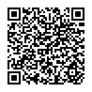 QR Code for Using U.S. Food Surpluses for Development : Interaction of Food Aid with other Forms of Foreign Assistance