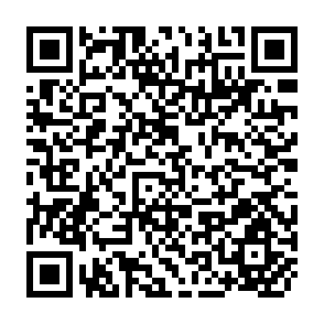 QR Code for The Impact of Nutritional Status on Agricultural Productivity: Wage Evidence from the Philippines