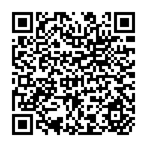 QR Code for Cereals Protection and Agricultural Development Strategy in the Sahel