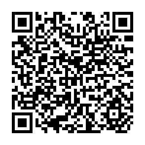 QR Code for The Economics of Full Employment in Agricultural Countries