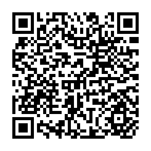 QR Code for Phosphorus for Sustainable agricultural groeth in Asia