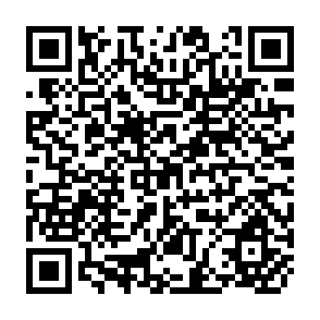 QR Code for Poverty and Development: Prospects and Priorities for the 1990s