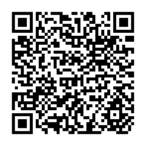 QR Code for Dramatic Poverty Reduction in the World: Prospects and Needed Action