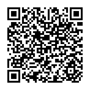 QR Code for The Economic Uses and Impact of International Remittances in Rural Egypt