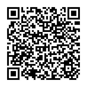 QR Code for Development Strategies,Foreign Trade Regimes,and Agricultural Incentives in Asia